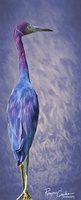 Robyn Cowlan lil blue art